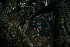 BIB: 
                            <button type="button" onclick="openModal(25689617)" class="btn btn-primary btn-sm float-right btn-popup" data-toggle="modal" data-target=".modal-high-quality">
                        <i class="fas fa-shopping-cart"></i> Add to Cart
                    </button>
                                            <button type="button" onclick="isThisMe(25689617, true)" class="btn btn-success btn-sm float-right btn-popup btn-isme hidden" data-toggle="tooltip" data-placement="bottom" title="นี่คือรูปของคุณใช่ไหม คลิกที่นี่เพื่อเอาเข้าอัลบั้ม">
                        <i class="fas fa-plus"></i> Add to album
                    </button>
                    <button type="button" onclick="isThisMe(25689617, false)" class="btn btn-warning btn-sm float-right btn-popup btn-isnotme hidden">
                        <i class="fas fa-ban"></i> Remove from album
                    </button>